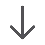 Arrow Down SVG Icon